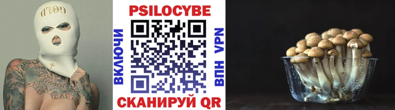 Галлюциногенные грибы прущие грибы магазин наркотиков Ершов