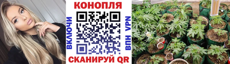 Марихуана SATIVA & INDICA закладка Ершов